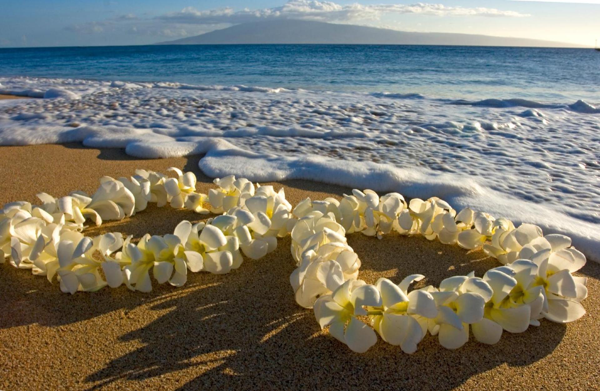 Renovated Ocean View Suite, Near Beach, Free Parking Honolulu Exteriör bild