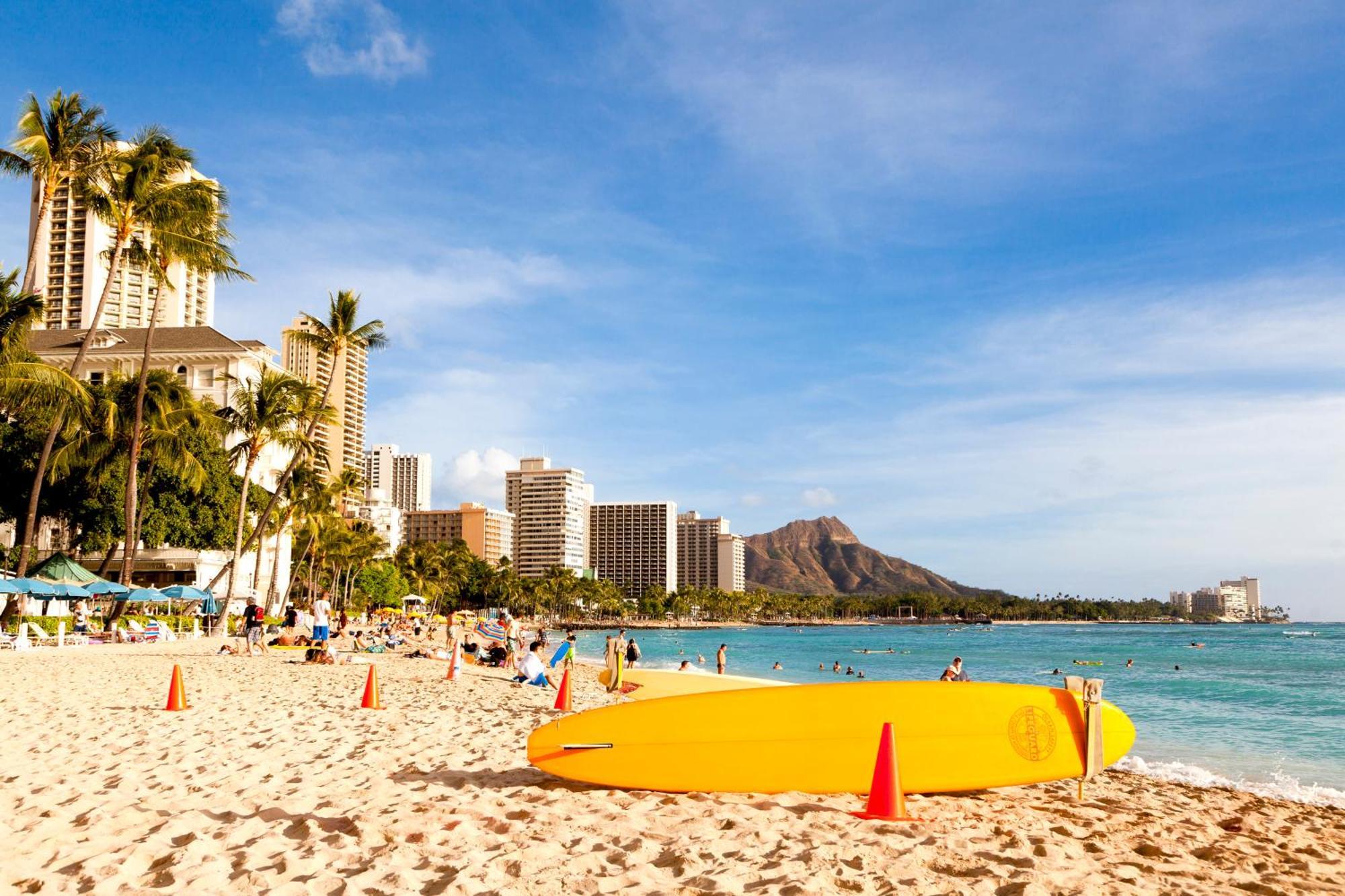 Renovated Ocean View Suite, Near Beach, Free Parking Honolulu Exteriör bild