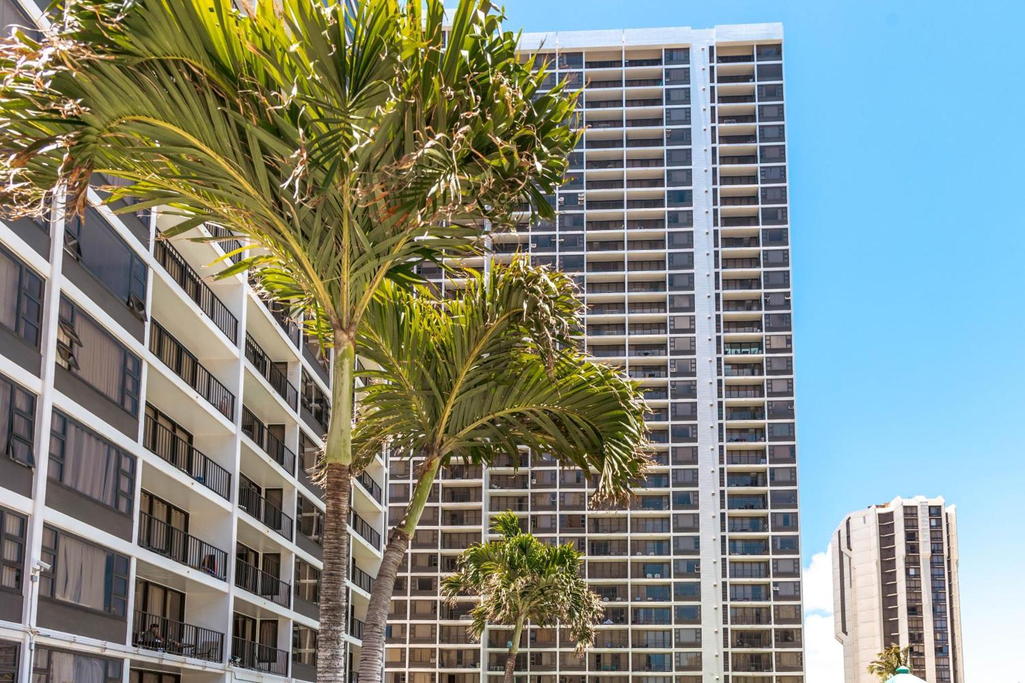 Renovated Ocean View Suite, Near Beach, Free Parking Honolulu Exteriör bild