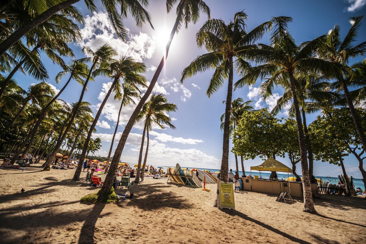 Renovated Ocean View Suite, Near Beach, Free Parking Honolulu Exteriör bild