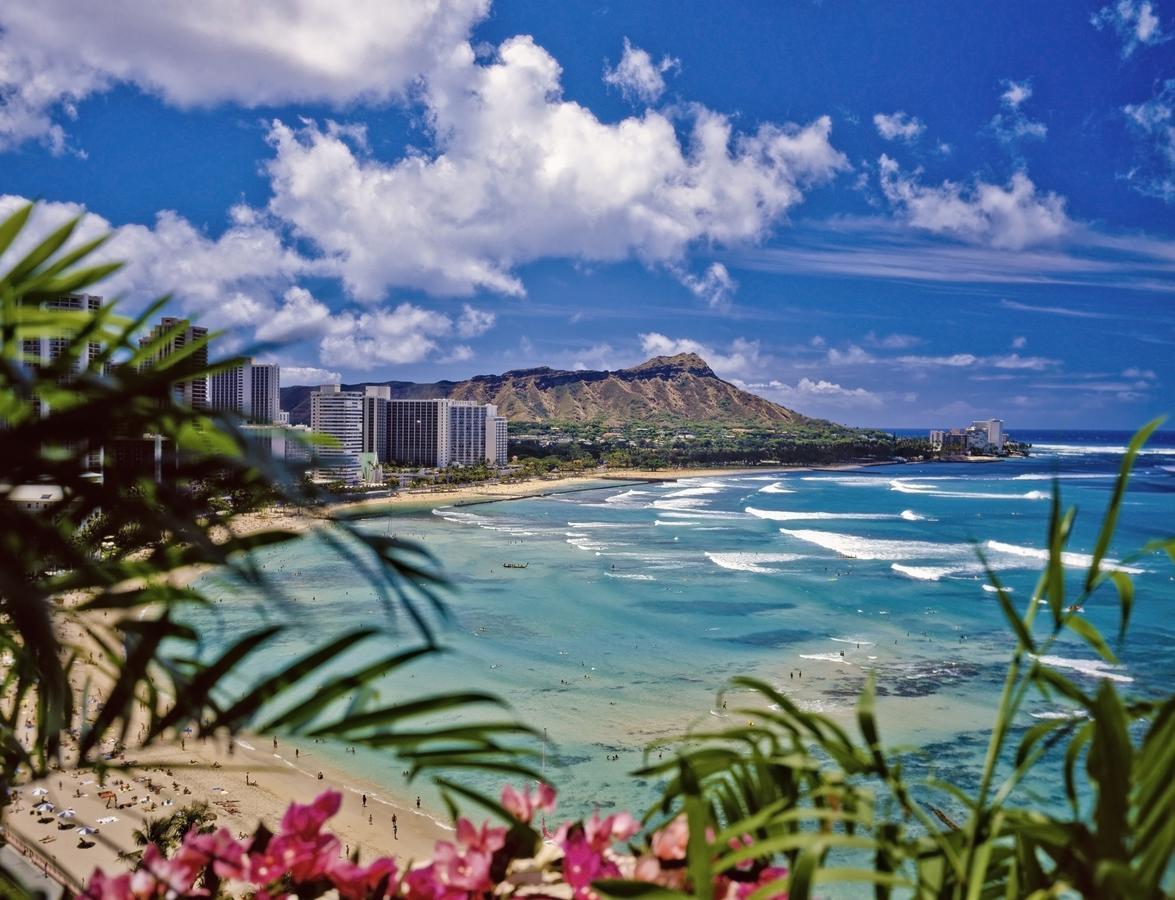Renovated Ocean View Suite, Near Beach, Free Parking Honolulu Exteriör bild